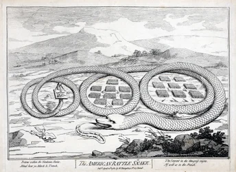 Le serpent à sonnettes américain, 1782
